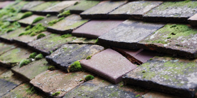 Cwmffrwd roof repair costs